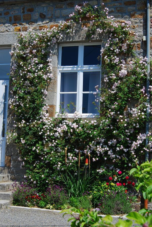 Maison Voie Verte Bion ภายนอก รูปภาพ